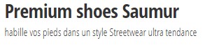 Premium shoes Saumur