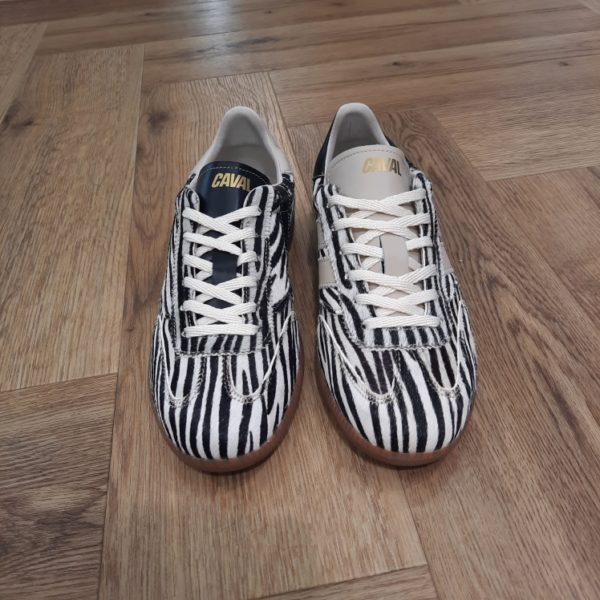 Pulse Zebra Obession – Image 2