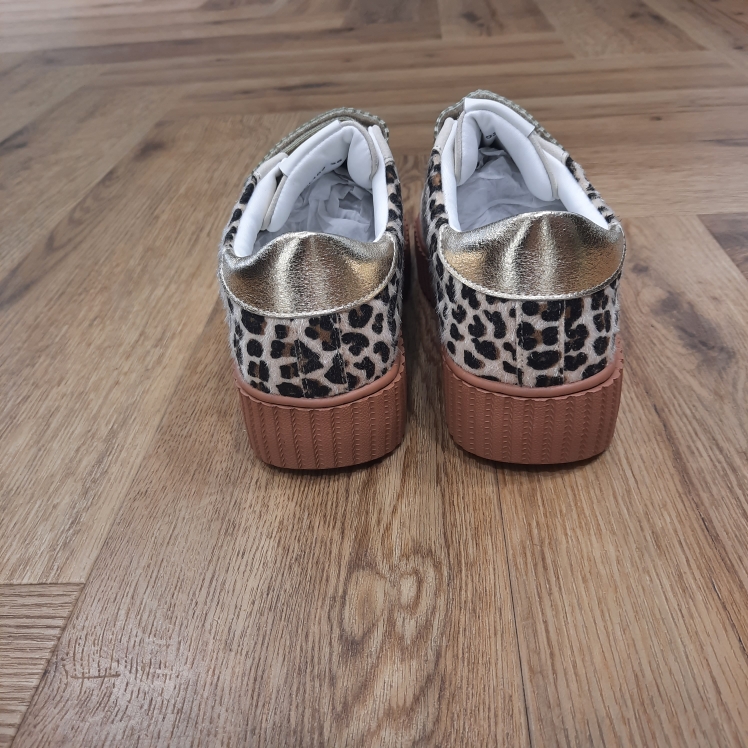 CL103 Leopard – Image 3