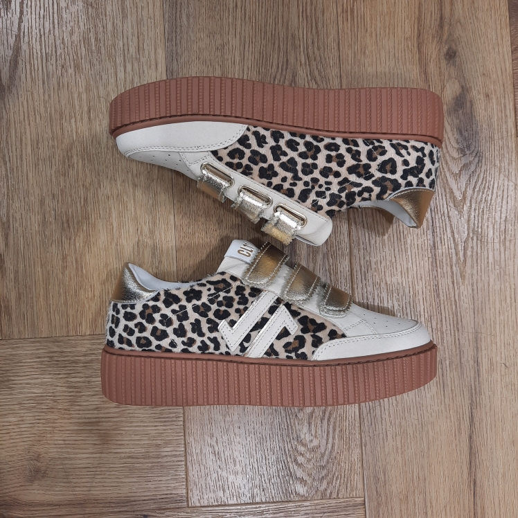 CL103 Leopard – Image 4